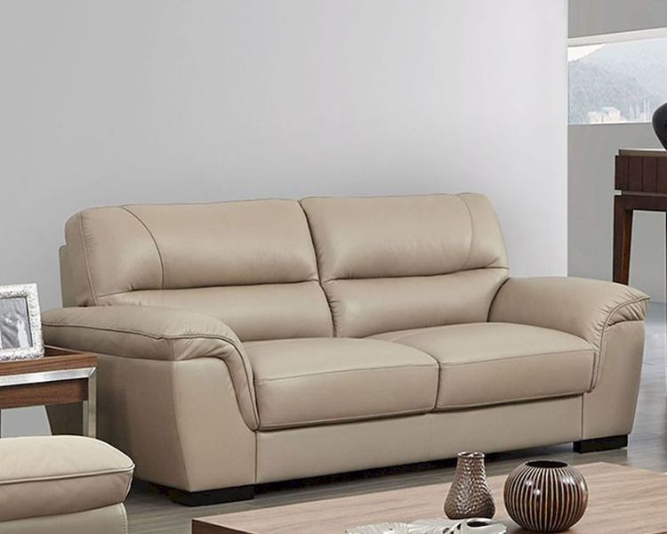 Бежевый диван в интерьере: мягкий кожаный двухместный