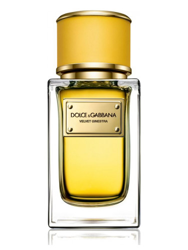 Новые ароматы Dolce&Gabbana: Velvet Ginestra - цветочно-цитрусовый