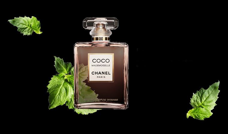 Coco Mademoiselle Intense – новый аромат Chanel 2018 - ноты пачули 