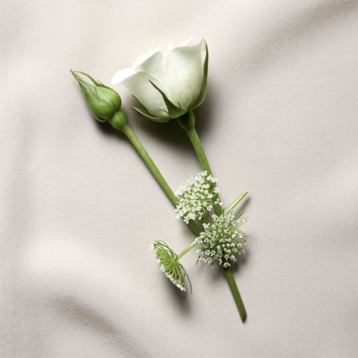 Blouse – аромат Yves Saint Laurent с нотами дамасской розы